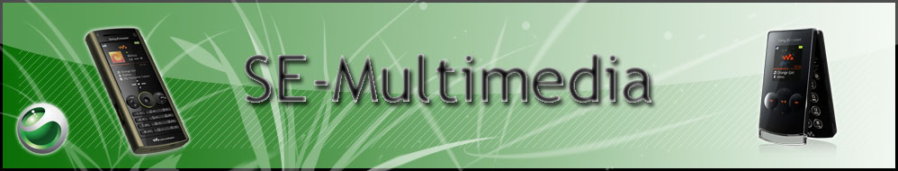 SE-Multimedia